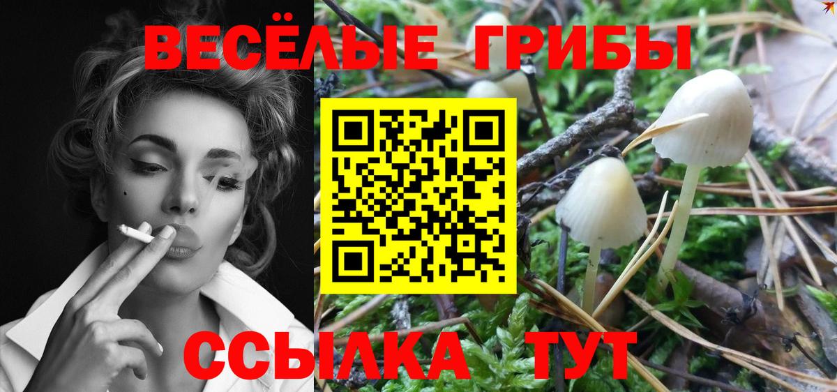 Галлюциногенные грибы Cubensis Ангарск