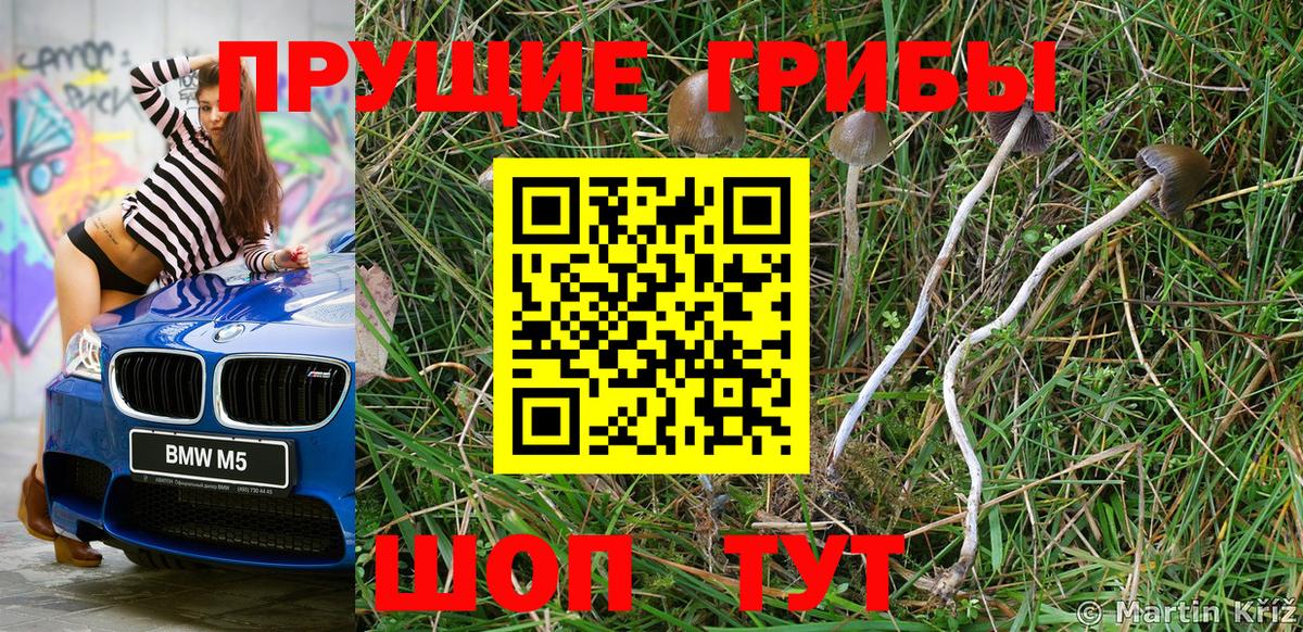 Ангарск  магазин продажи   Вход с VPN  Галлюциногенные грибы Cubensis 
